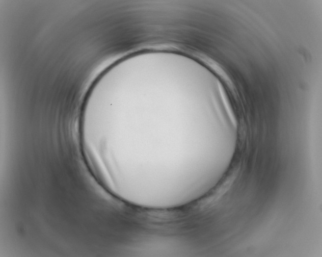 X0000113910959200910151415