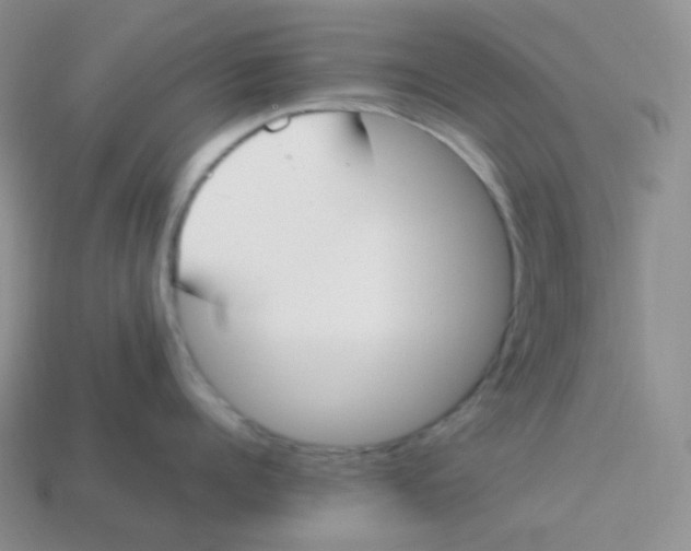 X0000113910960200910151415