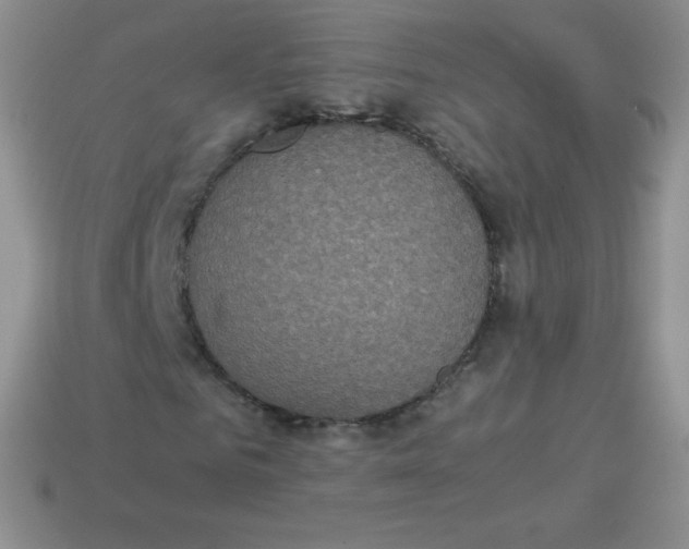 X0000113910961200910151414