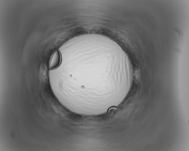 X0000113910963200910151414