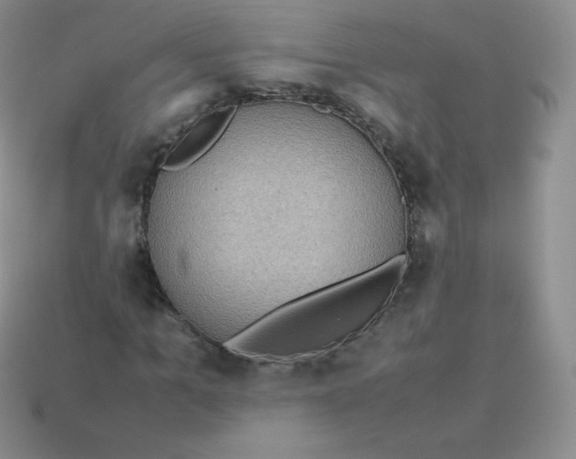 X0000113910965200910151414