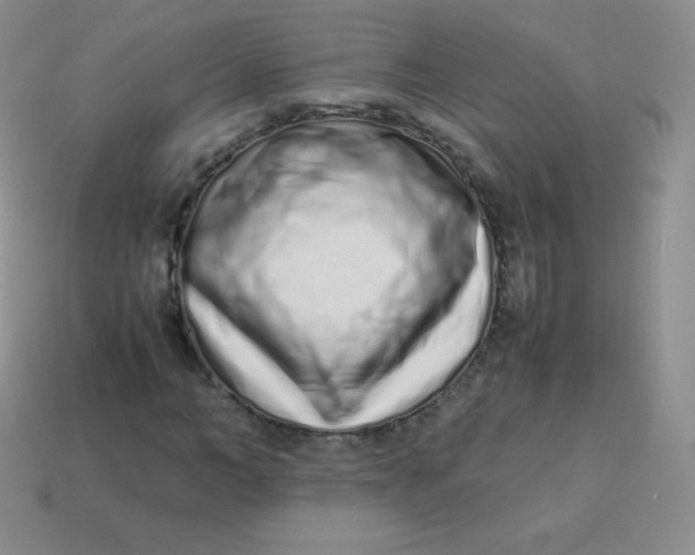 X0000113910966200910151414