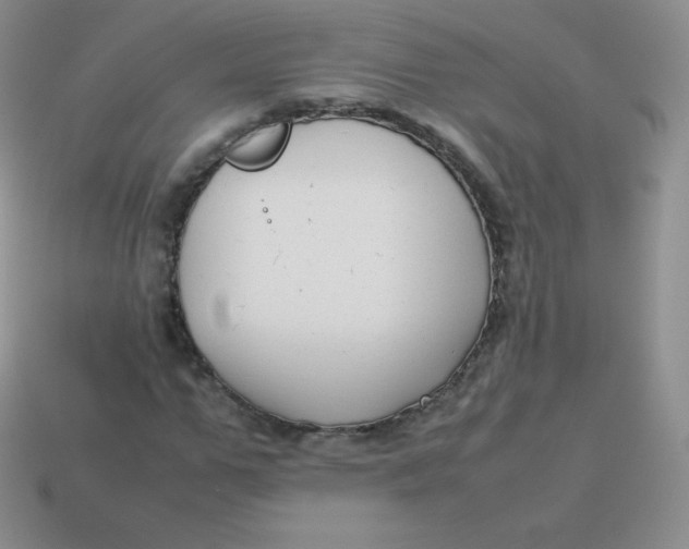 X0000113910967200910151414