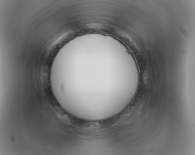 X0000113910968200910151414