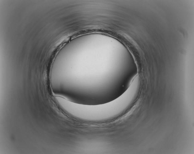 X0000113910969200910151414