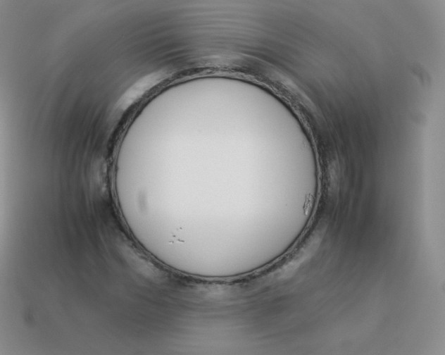 X0000113910970200910151414