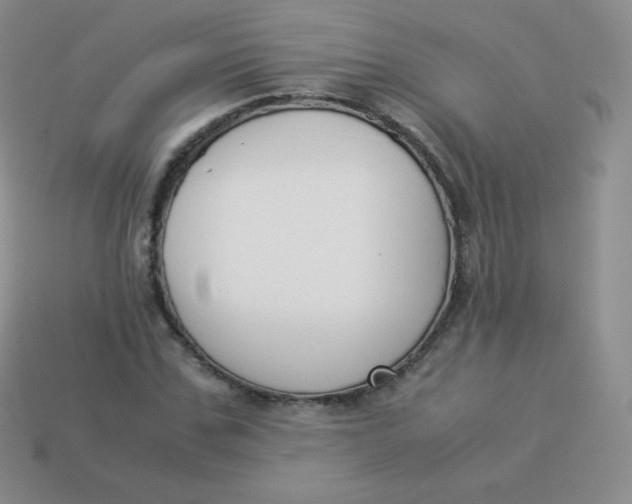 X0000113910971200910151414