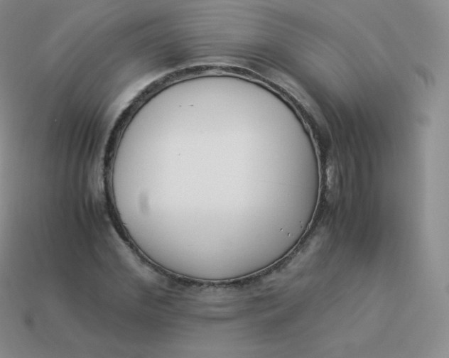 X0000113910972200910151414