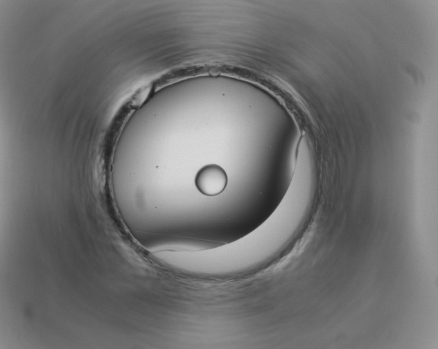 X0000113910973200910151414