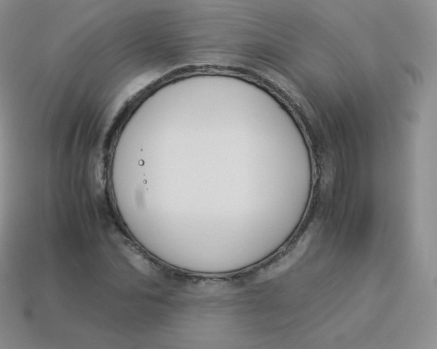 X0000113910974200910151414