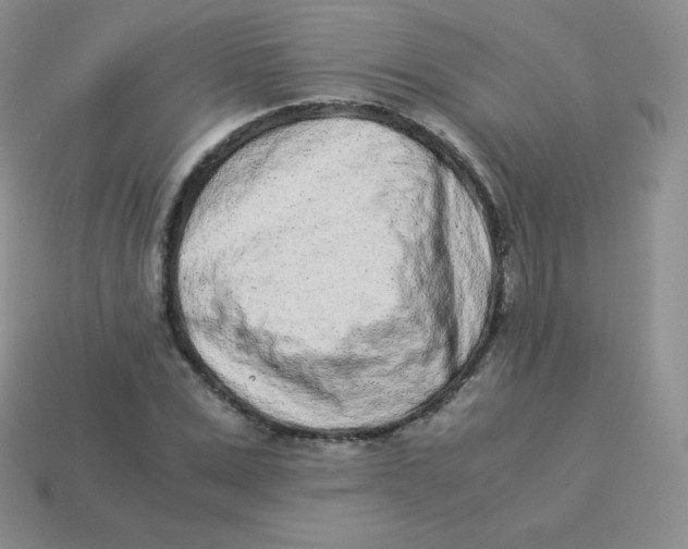 X0000113910975200910151414