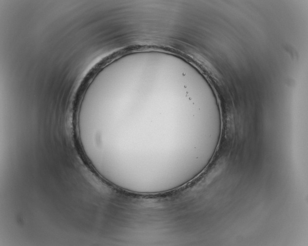 X0000113910976200910151414