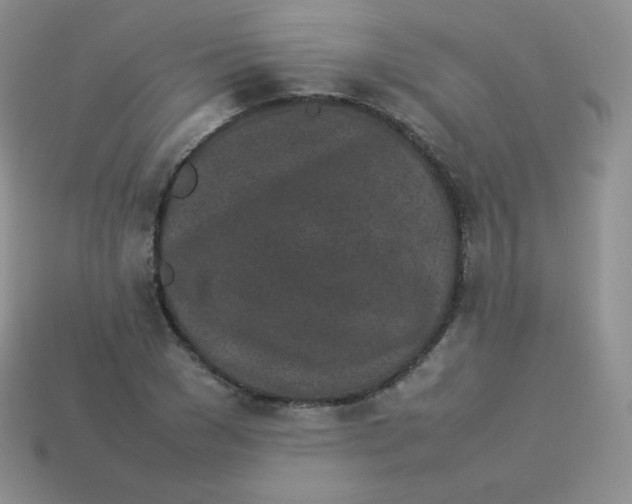 X0000113910977200910151414