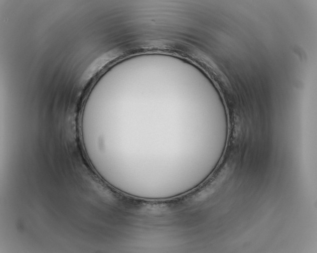 X0000113910978200910151414