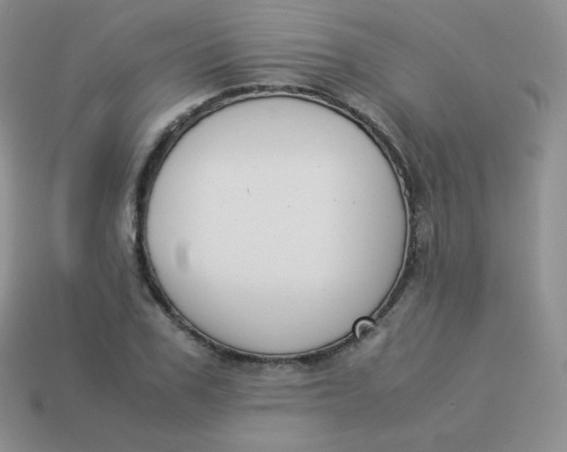 X0000113910979200910151414