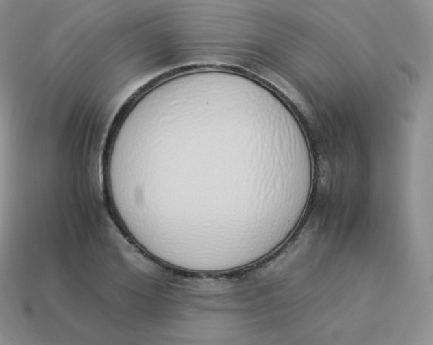 X0000113910980200910151414