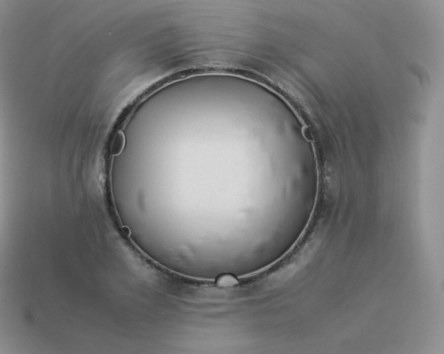 X0000113910981200910151414