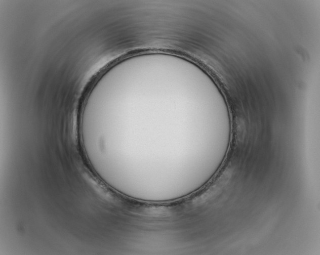 X0000113910982200910151414