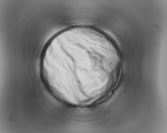 X0000113910983200910151414