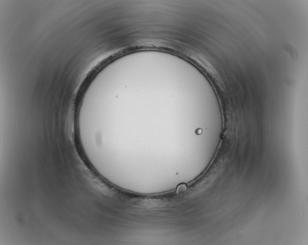 X0000113910984200910151414