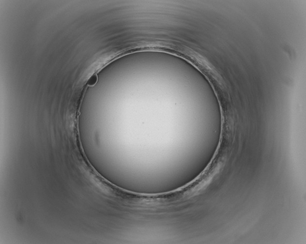 X0000113910985200910151414