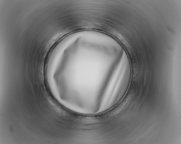 X0000113910986200910151414