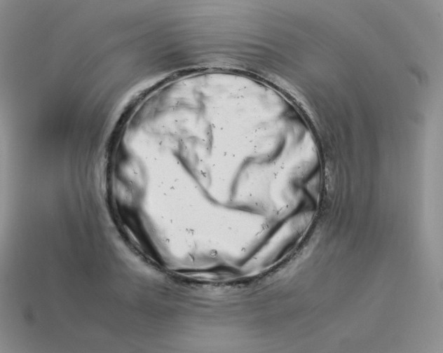 X0000113910987200910151414