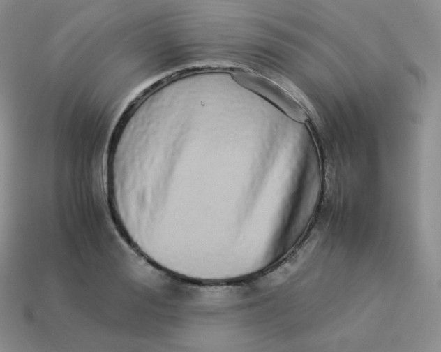 X0000113910988200910151414