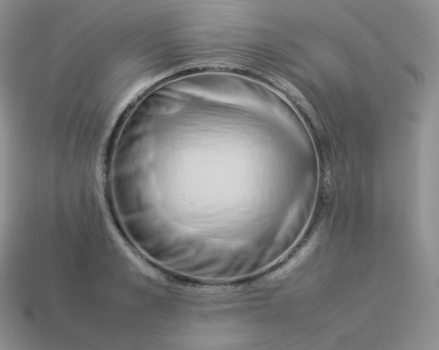 X0000113910989200910151414