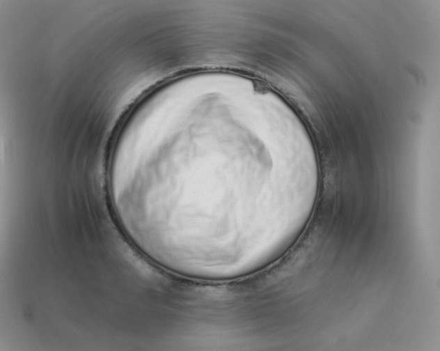 X0000113910990200910151414