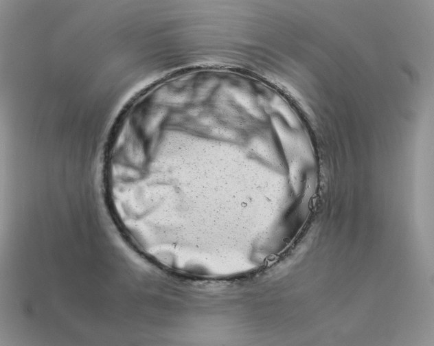 X0000113910991200910151414