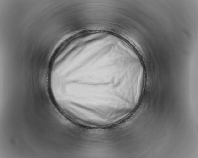 X0000113910992200910151414