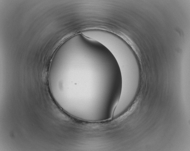 X0000113910993200910151414