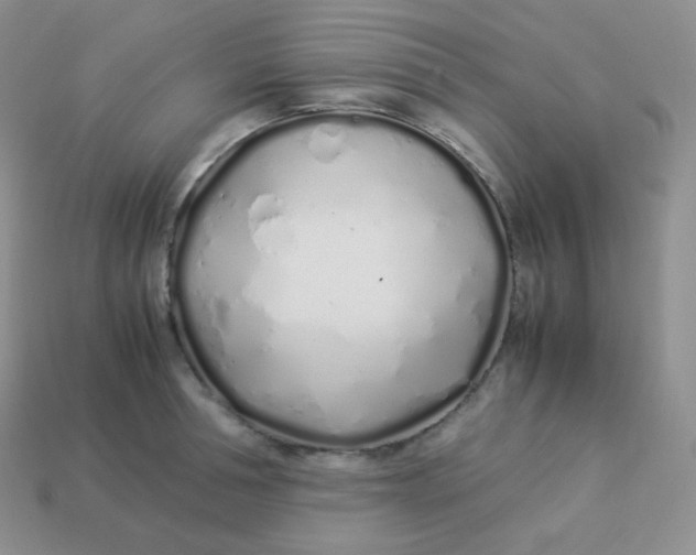 X0000113910994200910151414