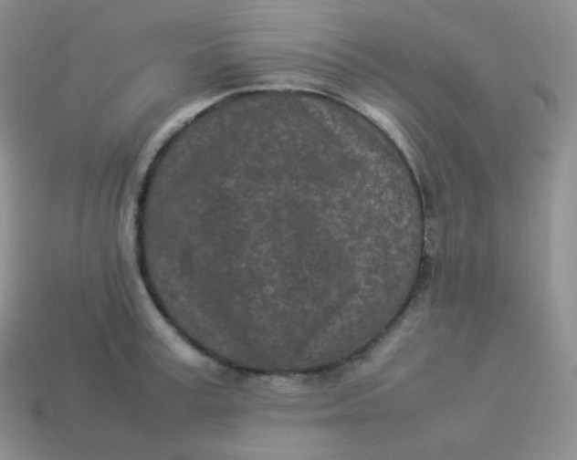 X0000113910995200910151414