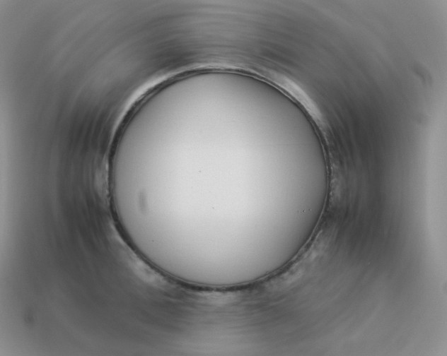 X0000113910996200910151414