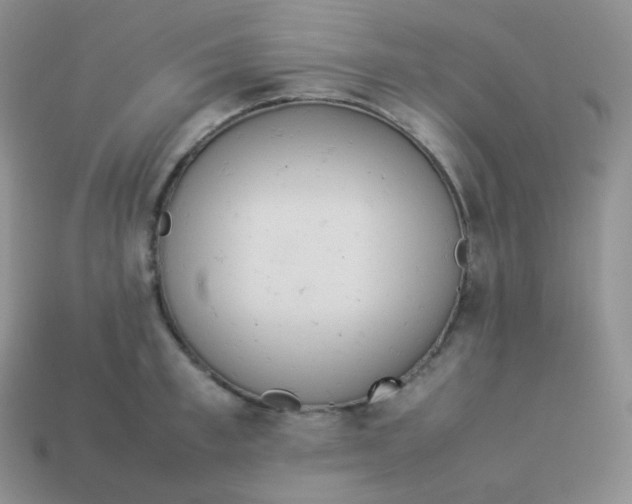 X0000113910997200910151414