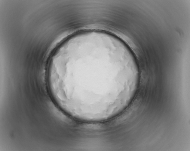 X0000113910998200910151414