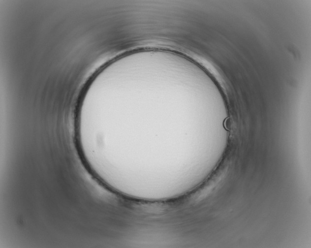 X0000113910999200910151414