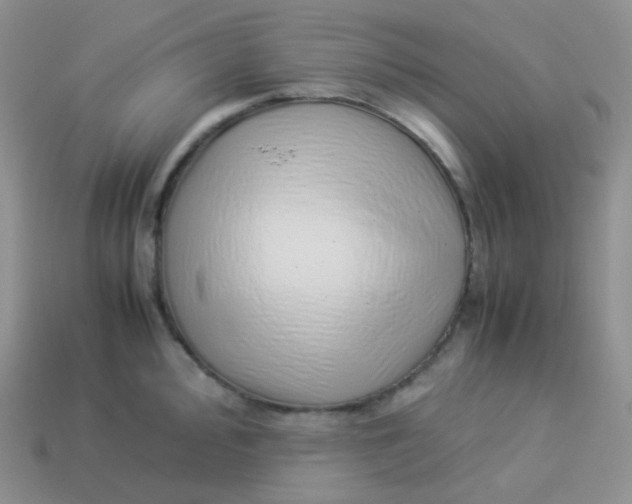 X0000113911000200910151414