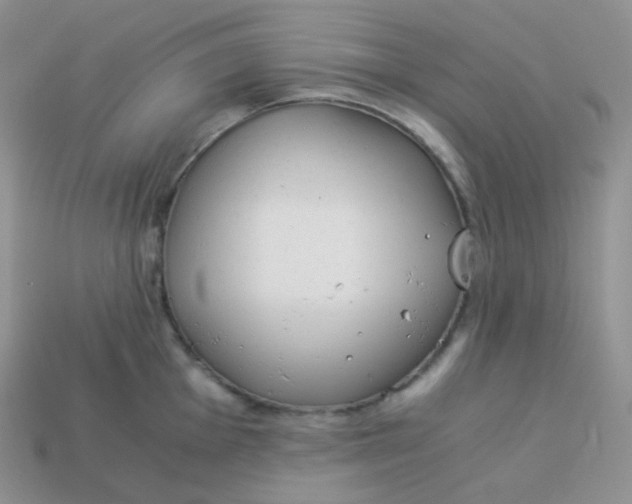 X0000113911001200910151414