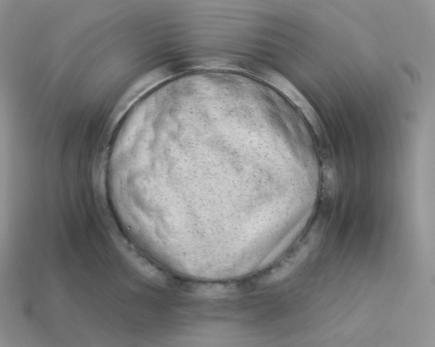 X0000113911002200910151414