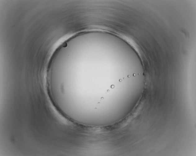 X0000113911003200910151414