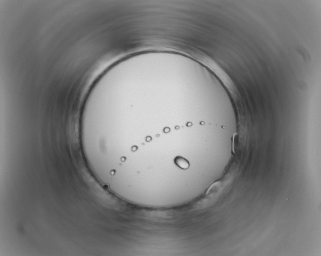 X0000113911004200910151414