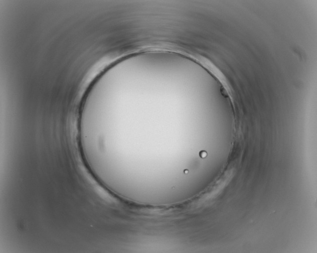 X0000113911005200910151414