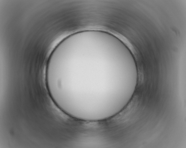 X0000113911006200910151414