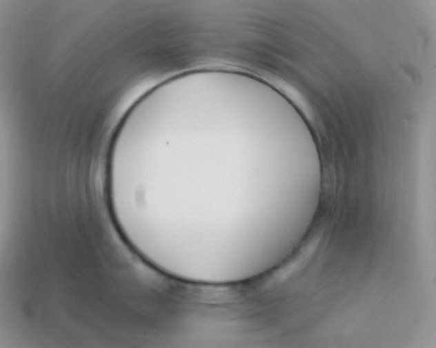 X0000113911007200910151414