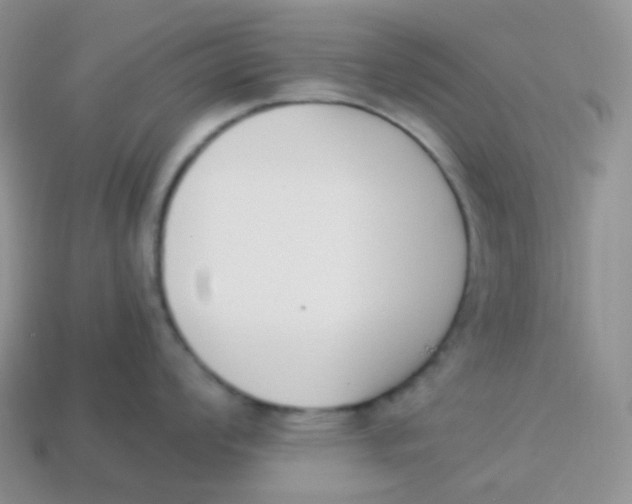 X0000113911008200910151414