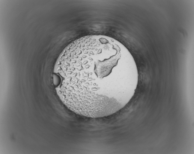 X0000113911009200910151413