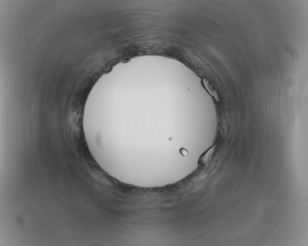 X0000113911010200910151413